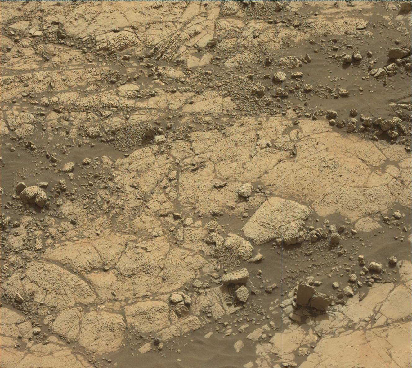 Nasa's Mars rover Curiosity acquired this image using its Mast Camera (Mastcam) on Sol 2780