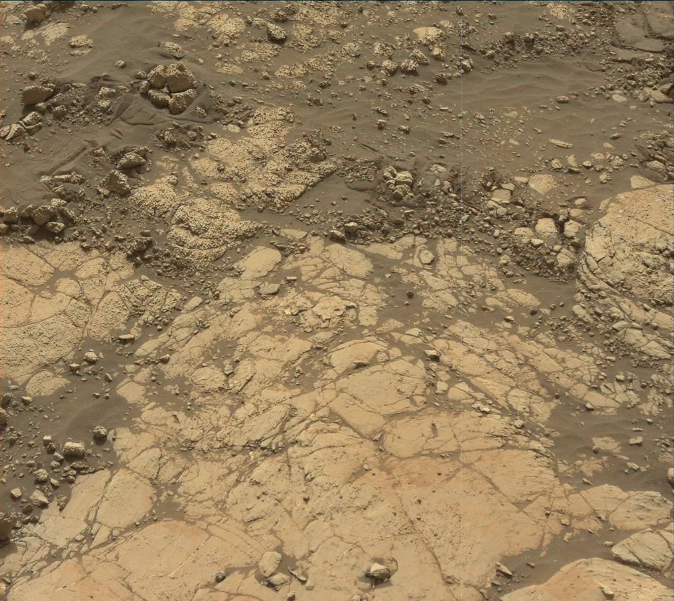 Nasa's Mars rover Curiosity acquired this image using its Mast Camera (Mastcam) on Sol 2780