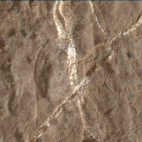 Nasa's Mars rover Curiosity acquired this image using its Mars Hand Lens Imager (MAHLI) on Sol 2785