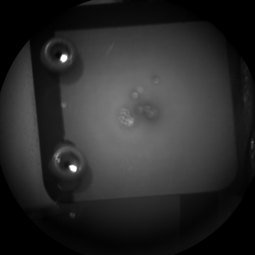 Nasa's Mars rover Curiosity acquired this image using its Chemistry & Camera (ChemCam) on Sol 187, at drive 0, site number 6