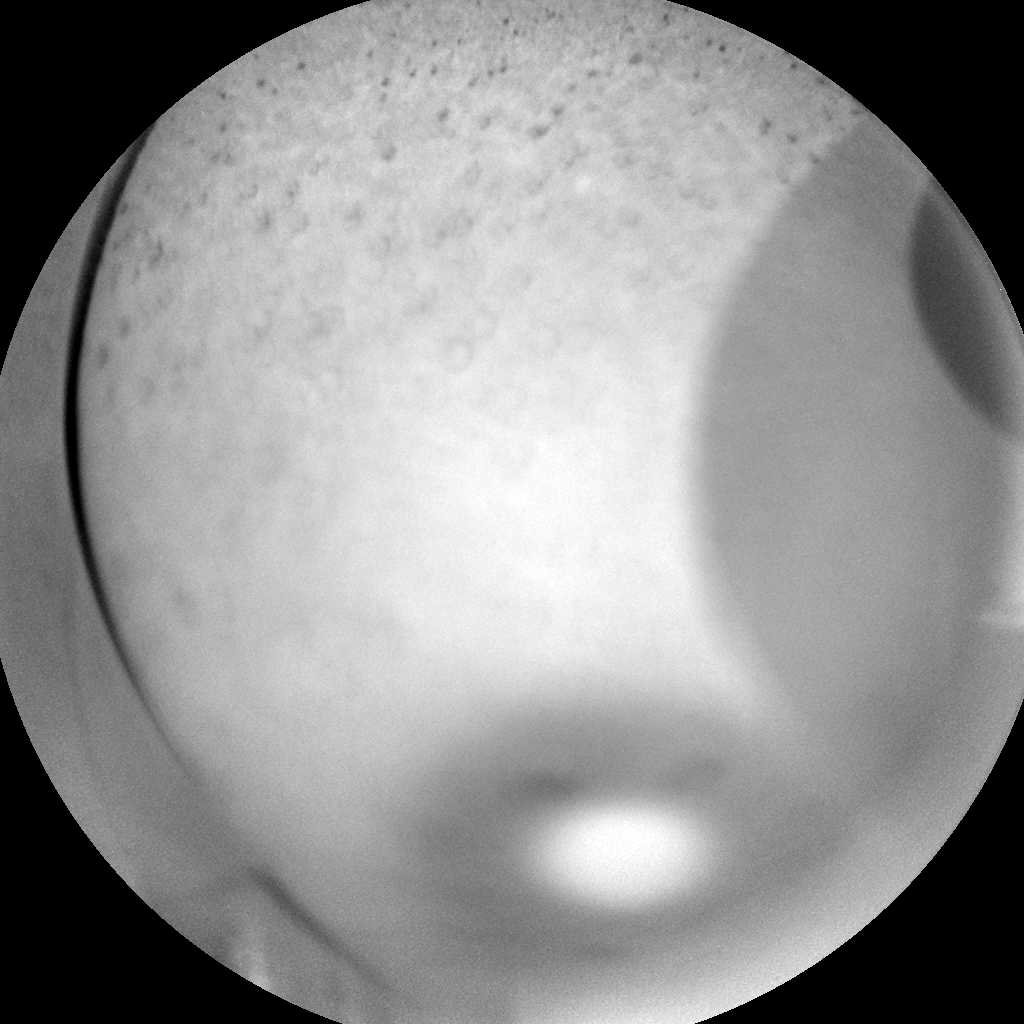 Nasa's Mars rover Curiosity acquired this image using its Chemistry & Camera (ChemCam) on Sol 310, at drive 658, site number 6
