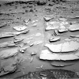 Nasa's Mars rover Curiosity acquired this image using its Left Navigation Camera on Sol 317, at drive 740, site number 6