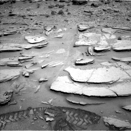 Nasa's Mars rover Curiosity acquired this image using its Left Navigation Camera on Sol 317, at drive 752, site number 6