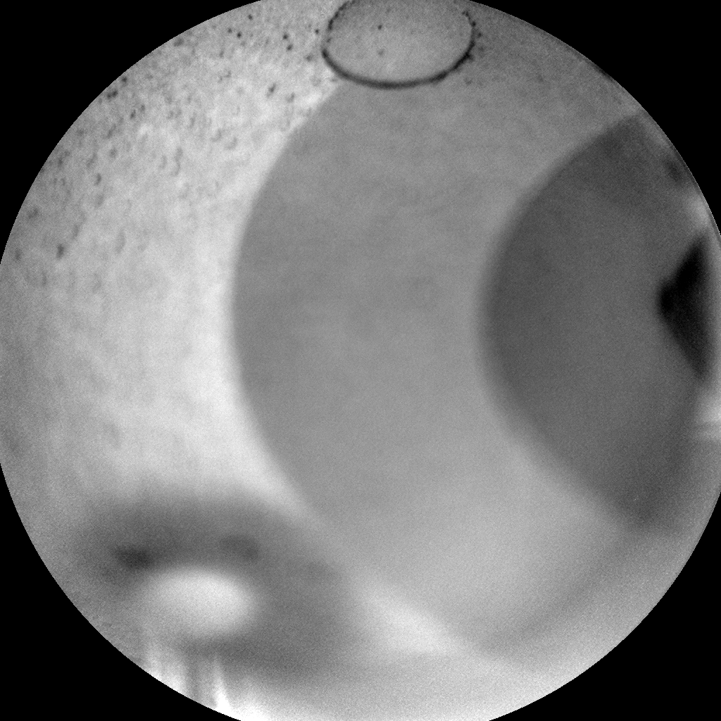 Nasa's Mars rover Curiosity acquired this image using its Chemistry & Camera (ChemCam) on Sol 321, at drive 804, site number 6