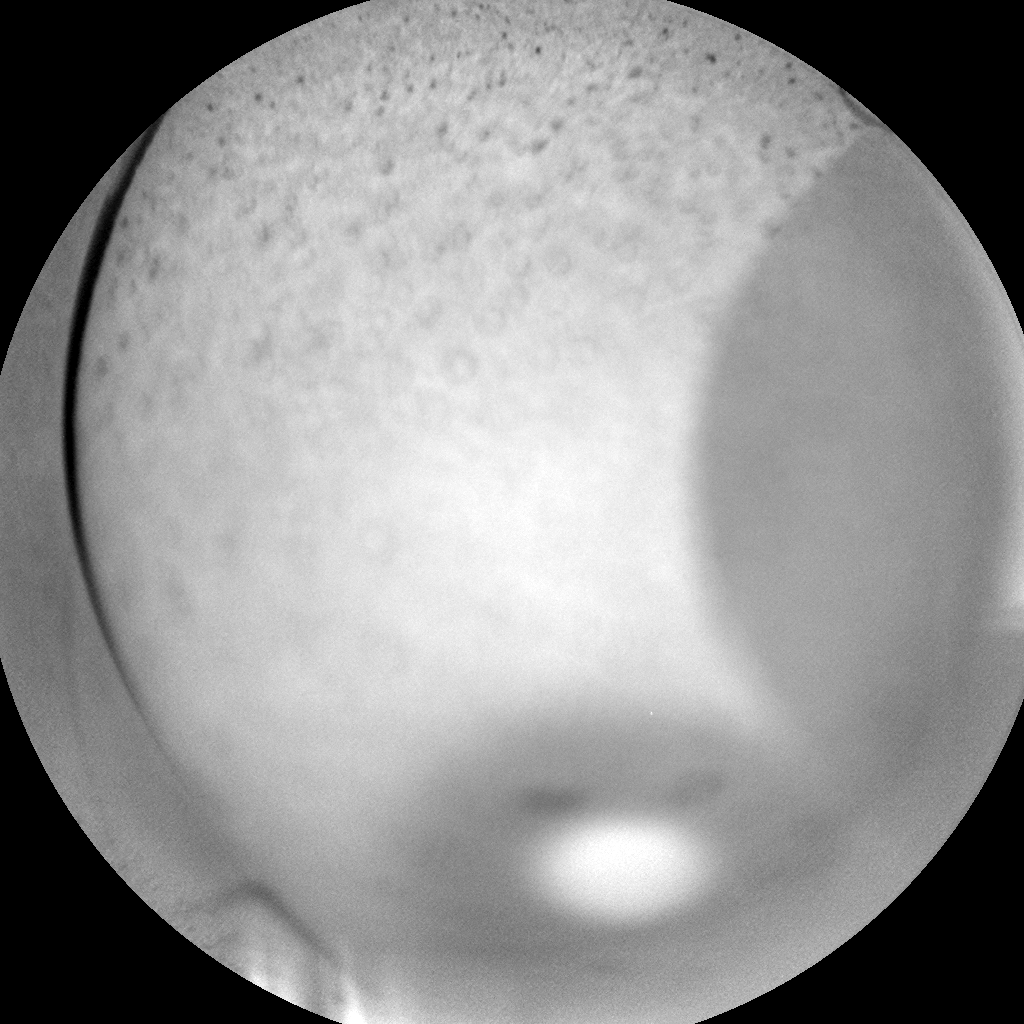 Nasa's Mars rover Curiosity acquired this image using its Chemistry & Camera (ChemCam) on Sol 350, at drive 0, site number 11