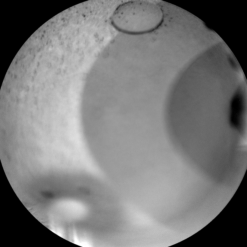 Nasa's Mars rover Curiosity acquired this image using its Chemistry & Camera (ChemCam) on Sol 384, at drive 0, site number 15