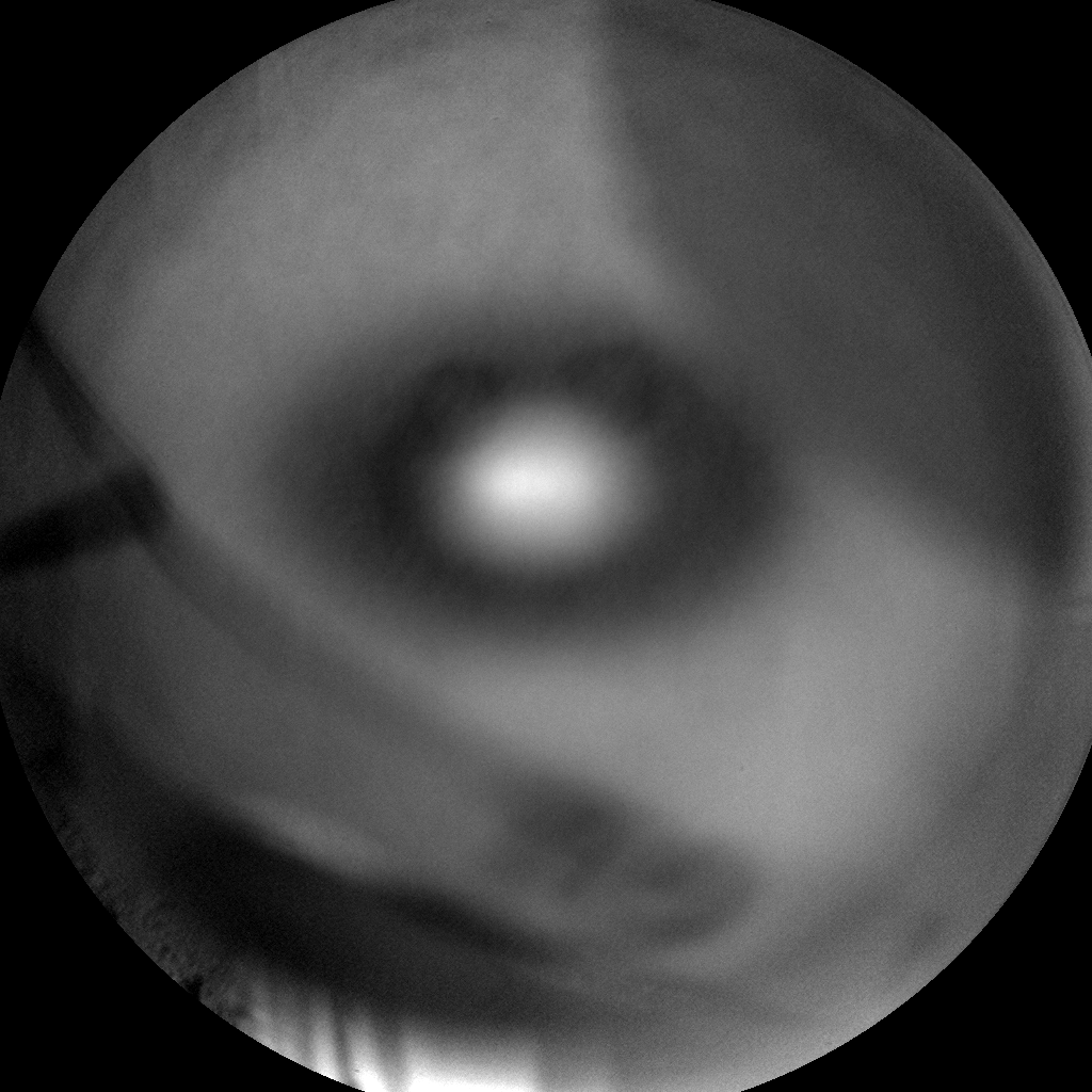 Nasa's Mars rover Curiosity acquired this image using its Chemistry & Camera (ChemCam) on Sol 638, at drive 0, site number 33