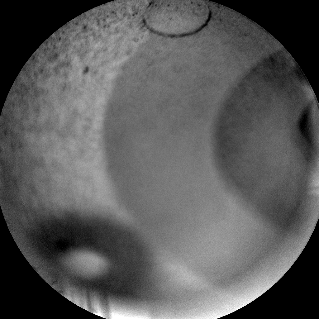 Nasa's Mars rover Curiosity acquired this image using its Chemistry & Camera (ChemCam) on Sol 892, at drive 0, site number 45