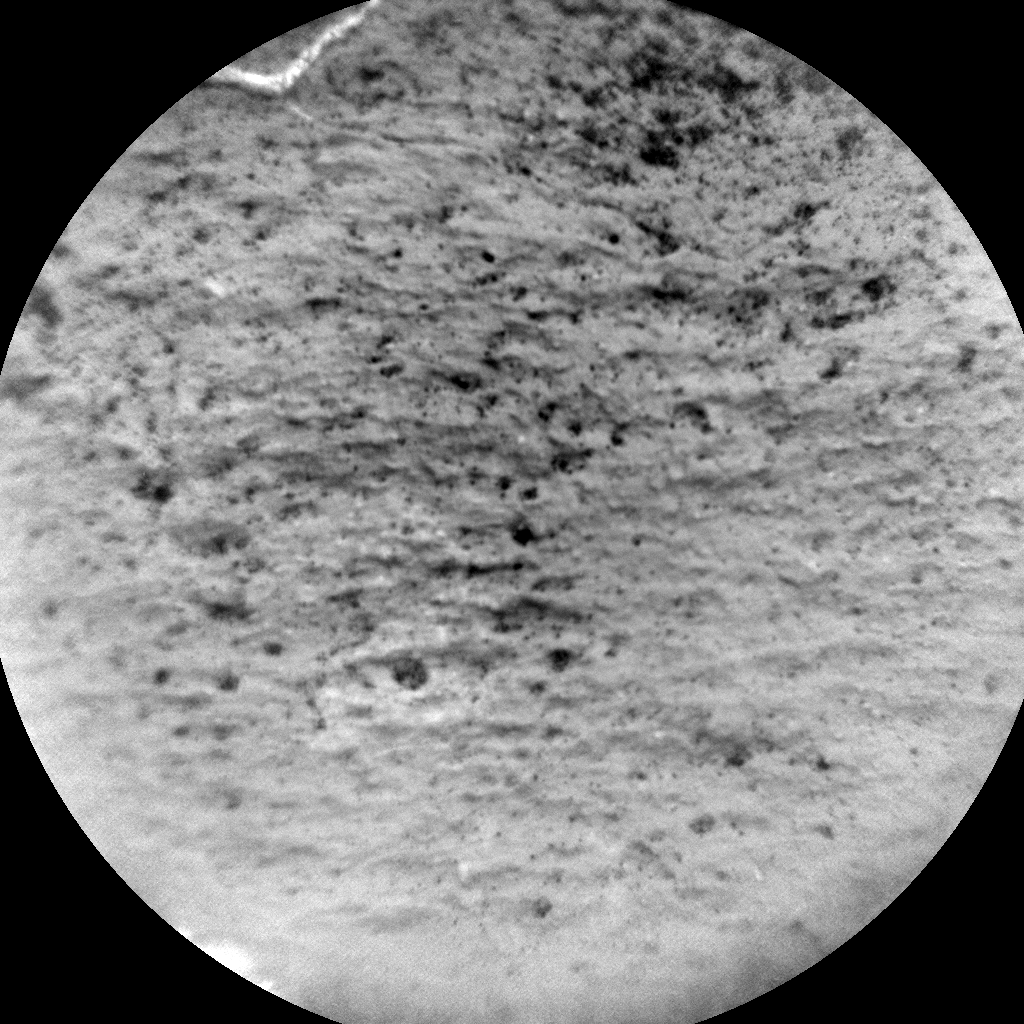 Nasa's Mars rover Curiosity acquired this image using its Chemistry & Camera (ChemCam) on Sol 1027, at drive 1570, site number 48
