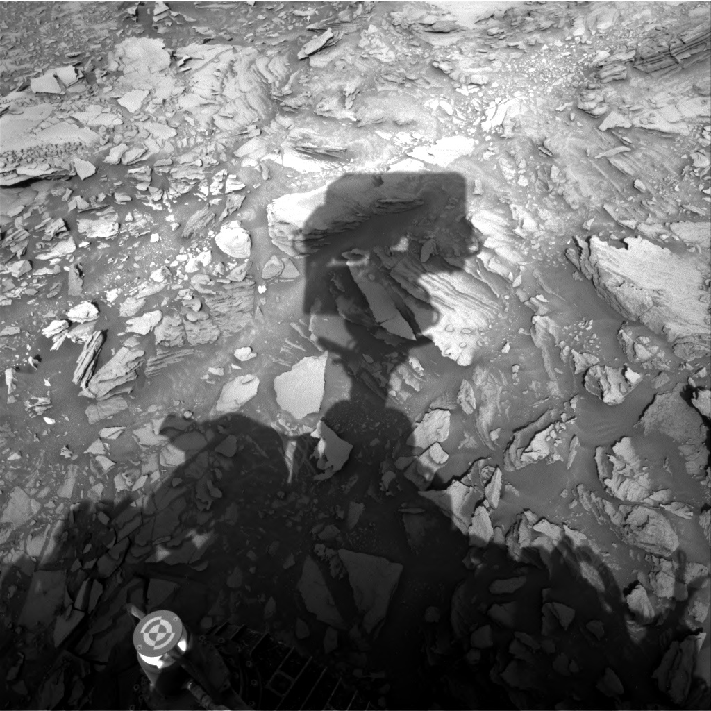 Nasa's Mars rover Curiosity acquired this image using its Right Navigation Camera on Sol 1110, at drive 448, site number 50