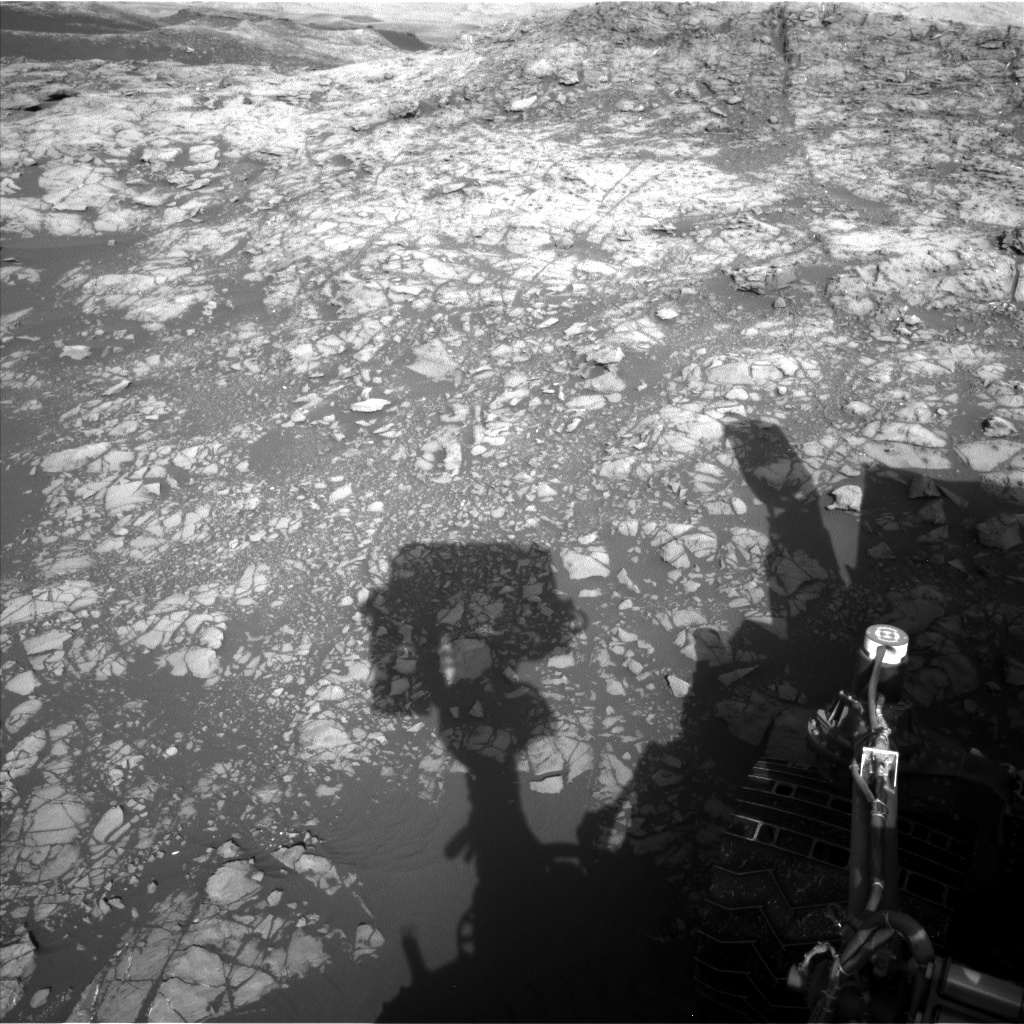 Nasa's Mars rover Curiosity acquired this image using its Left Navigation Camera on Sol 1194, at drive 2704, site number 51