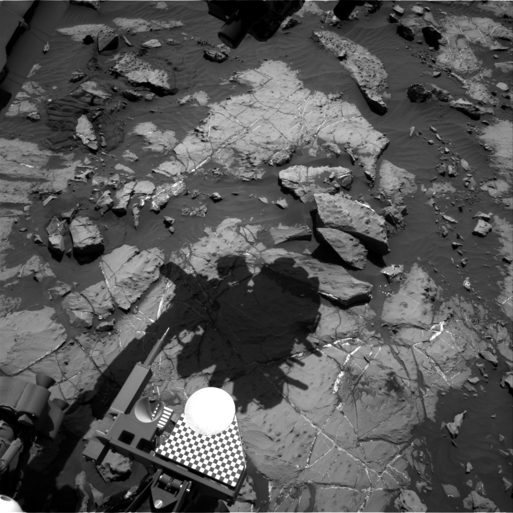 Nasa's Mars rover Curiosity acquired this image using its Right Navigation Camera on Sol 1251, at drive 2388, site number 52