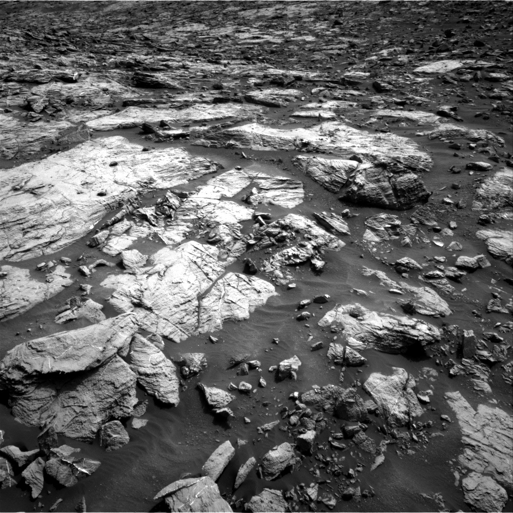 Nasa's Mars rover Curiosity acquired this image using its Right Navigation Camera on Sol 1446, at drive 1356, site number 57
