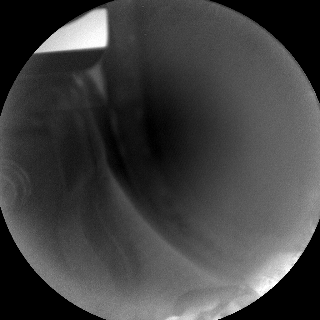 Nasa's Mars rover Curiosity acquired this image using its Chemistry & Camera (ChemCam) on Sol 1460, at drive 2798, site number 57