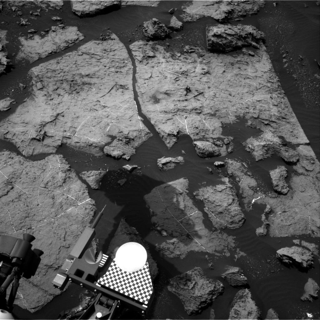 Nasa's Mars rover Curiosity acquired this image using its Right Navigation Camera on Sol 1494, at drive 2046, site number 58