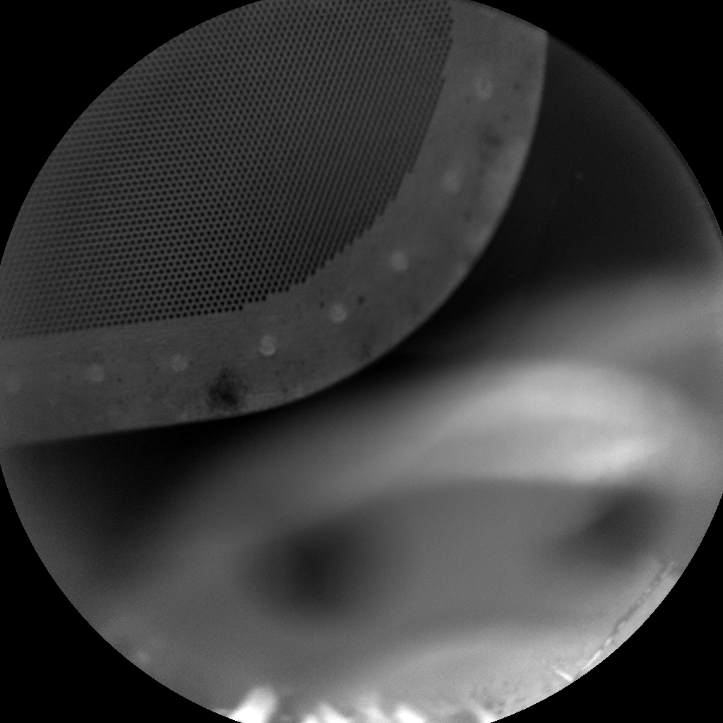 Nasa's Mars rover Curiosity acquired this image using its Chemistry & Camera (ChemCam) on Sol 1494, at drive 2046, site number 58