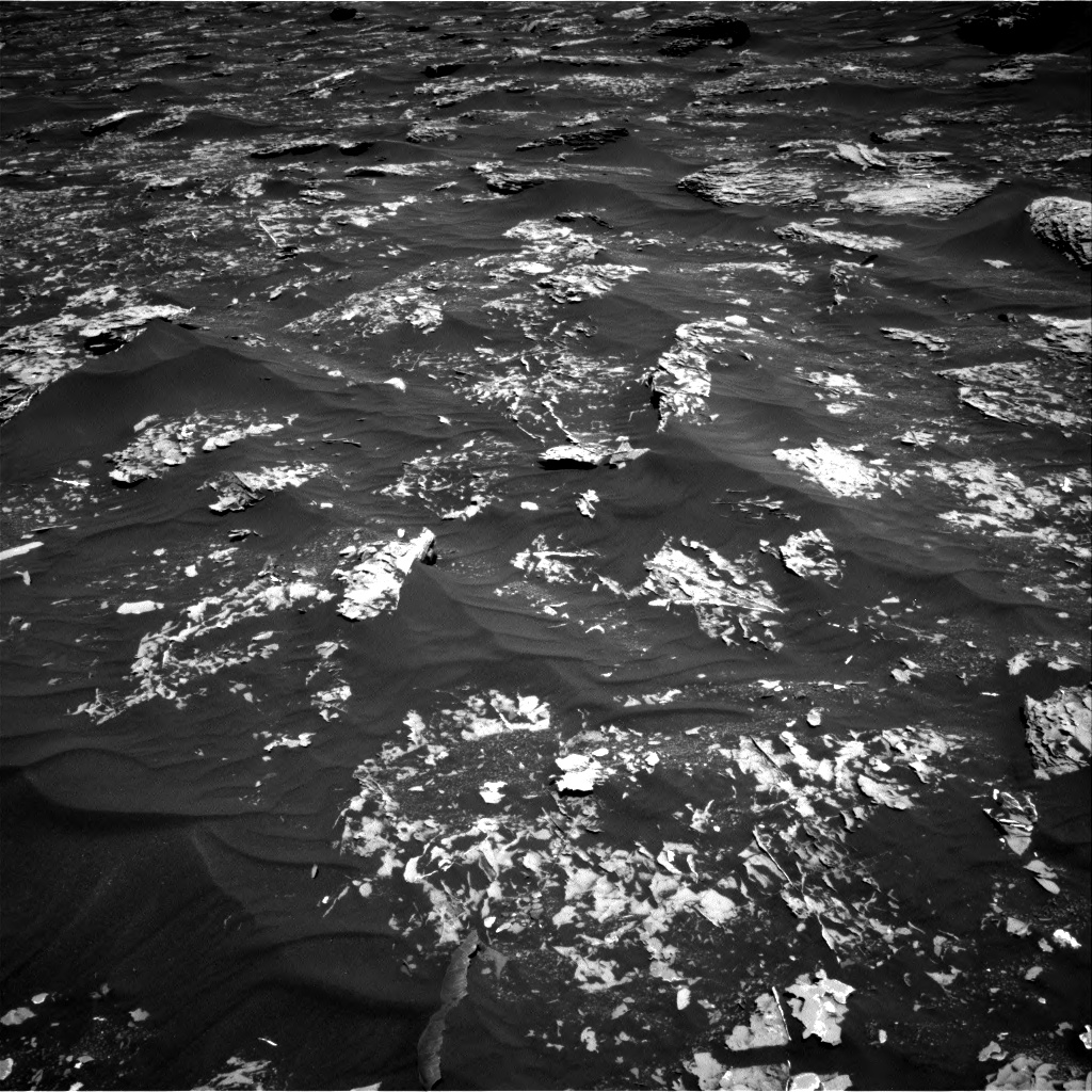 Nasa's Mars rover Curiosity acquired this image using its Right Navigation Camera on Sol 1782, at drive 96, site number 65