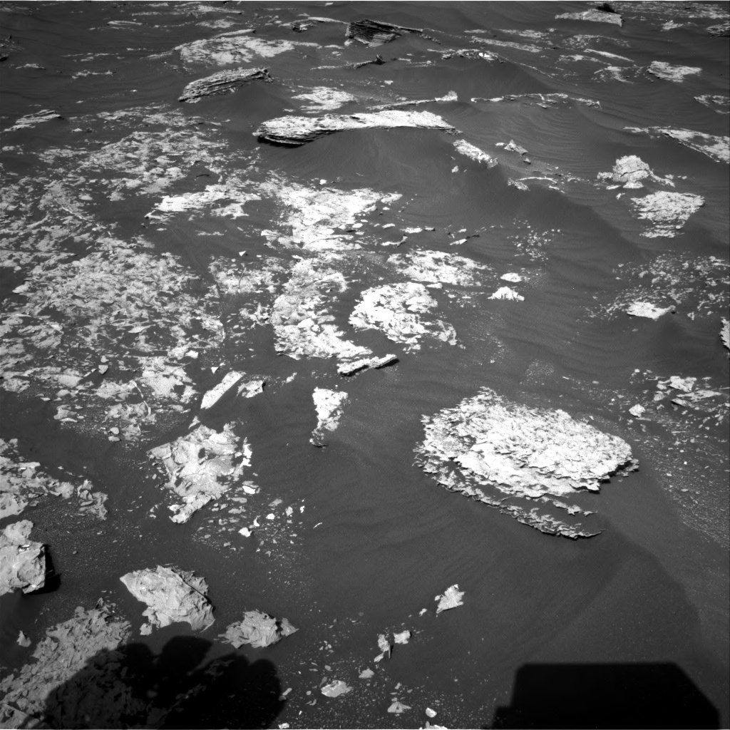 Nasa's Mars rover Curiosity acquired this image using its Right Navigation Camera on Sol 1795, at drive 1894, site number 65