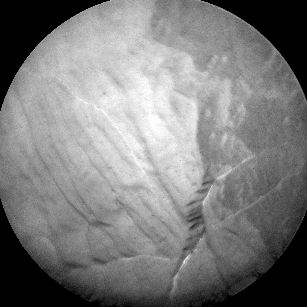 Nasa's Mars rover Curiosity acquired this image using its Chemistry & Camera (ChemCam) on Sol 1817, at drive 84, site number 66