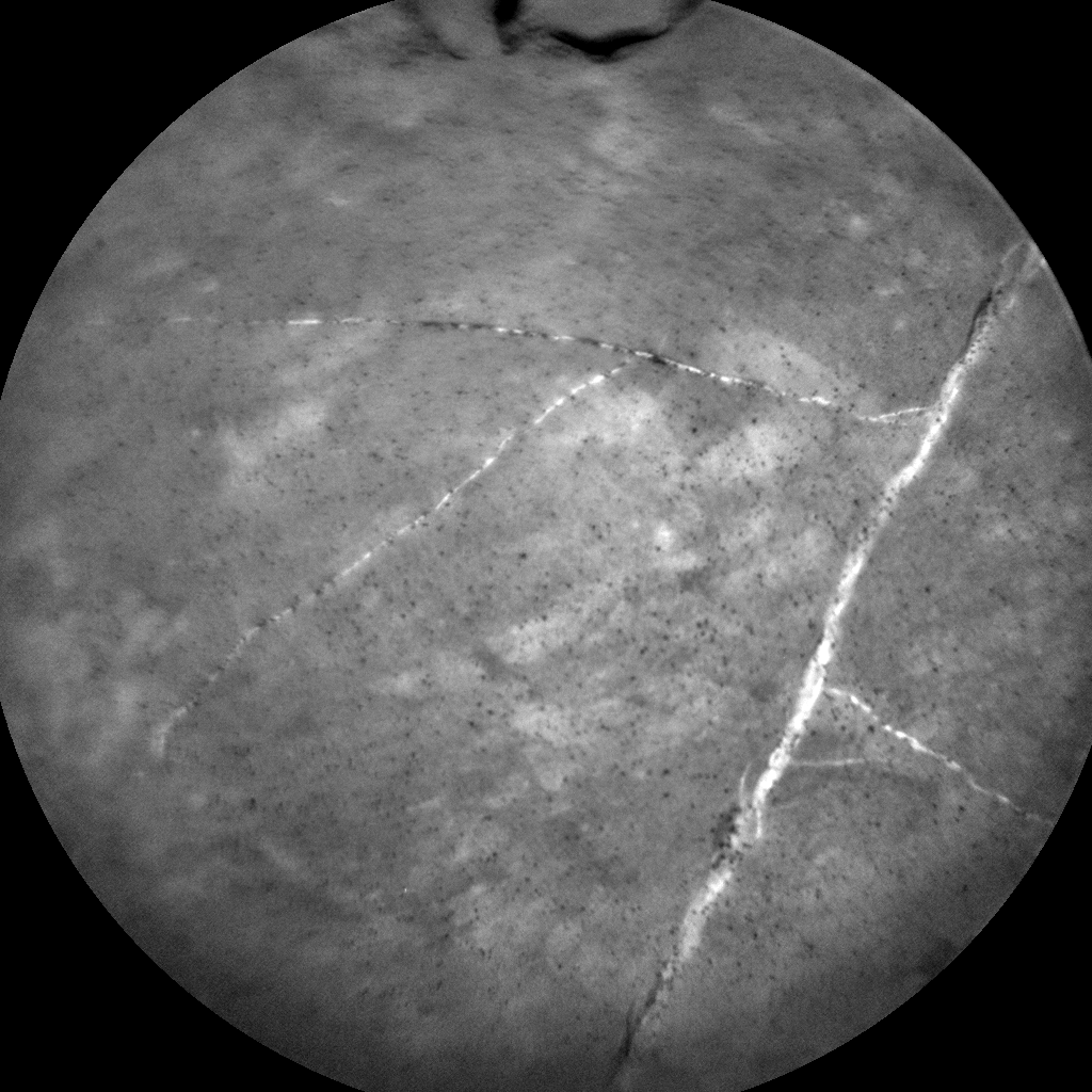 Nasa's Mars rover Curiosity acquired this image using its Chemistry & Camera (ChemCam) on Sol 1836, at drive 1112, site number 66