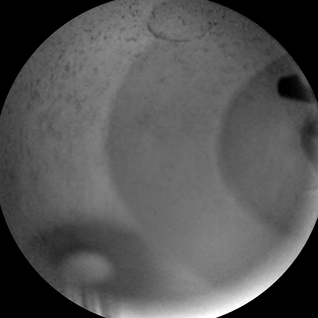 Nasa's Mars rover Curiosity acquired this image using its Chemistry & Camera (ChemCam) on Sol 1944, at drive 2764, site number 67