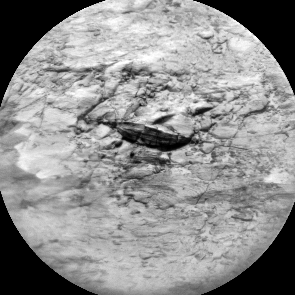 Nasa's Mars rover Curiosity acquired this image using its Chemistry & Camera (ChemCam) on Sol 2435, at drive 568, site number 76