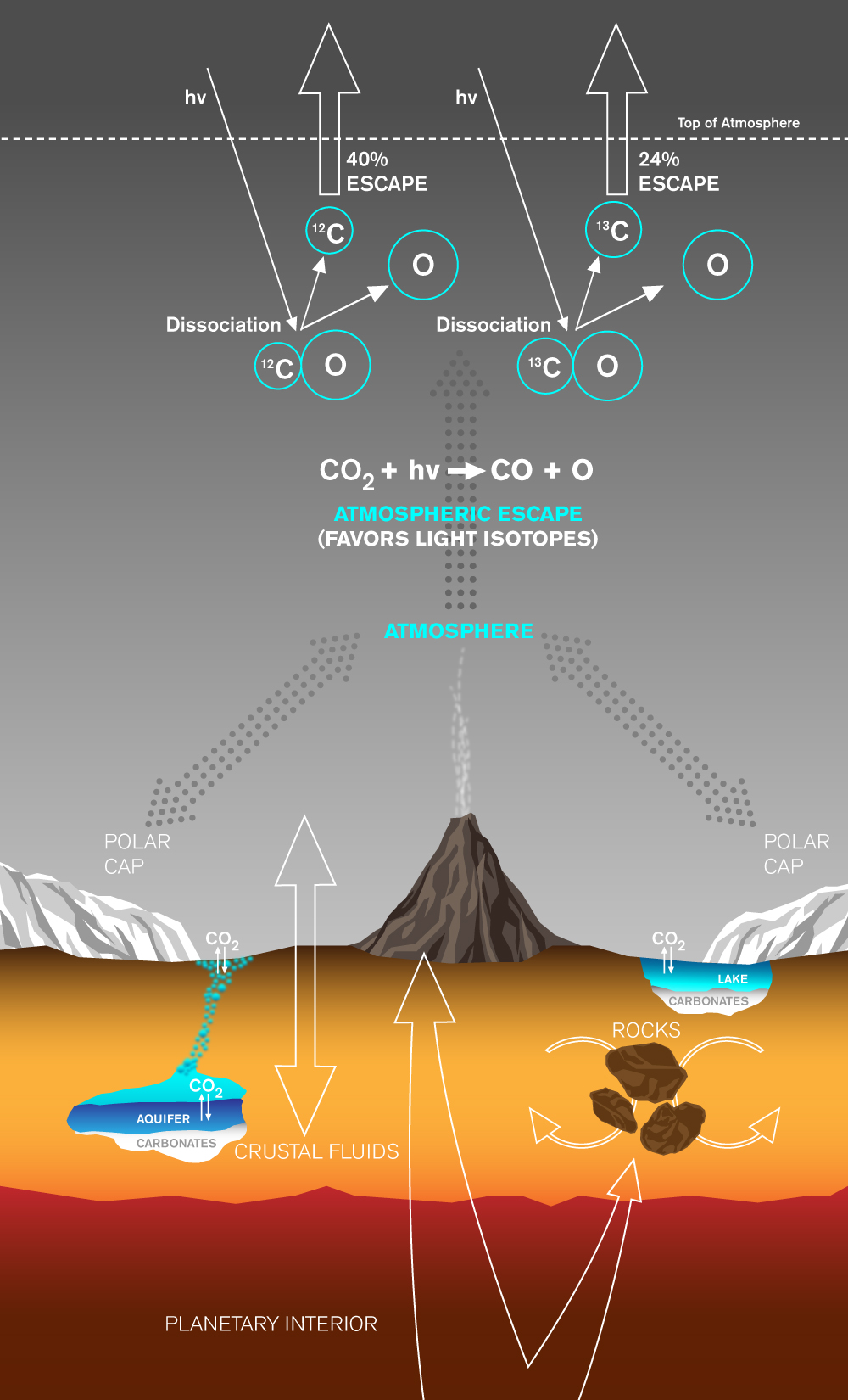 Carbon Exchange and Loss Processes on Mars