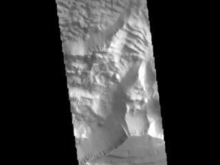 This image from NASAs Mars Odyssey shows the central part of Tithonium Chasma.